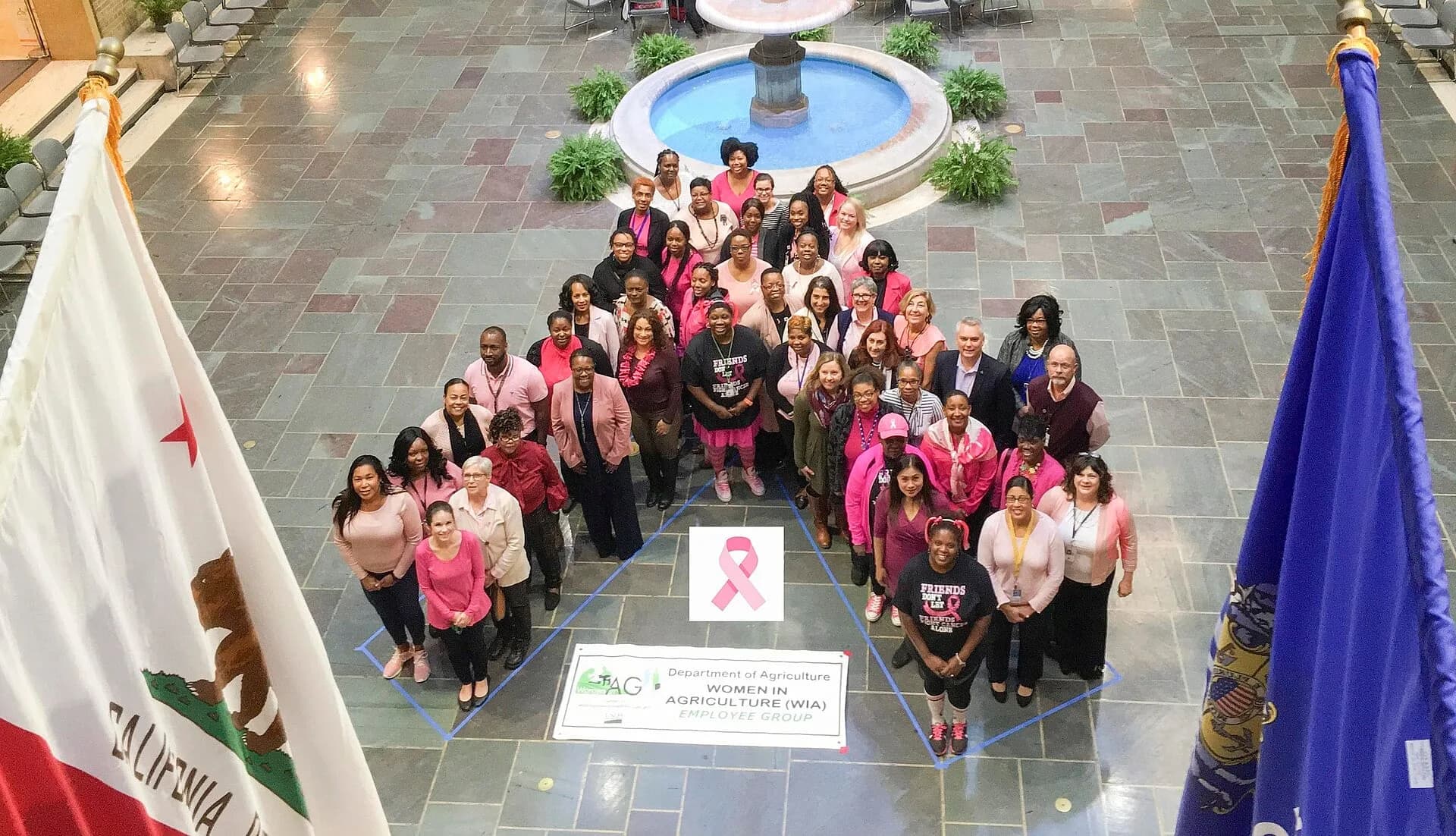 A large group dressed in pink gathered for breast cancer awareness
