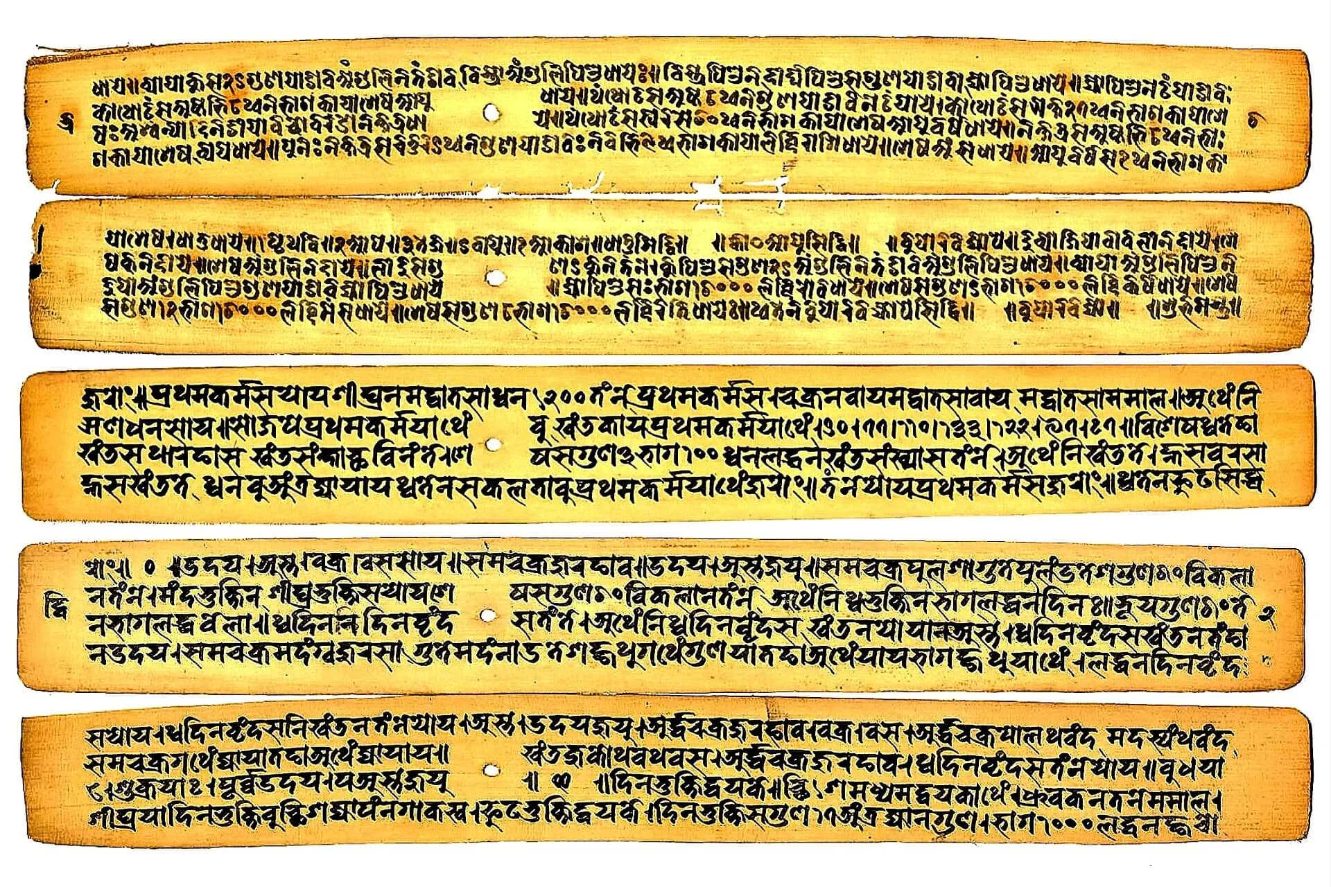 A palm-leaf manuscript written in Bhujimol and Newar script
