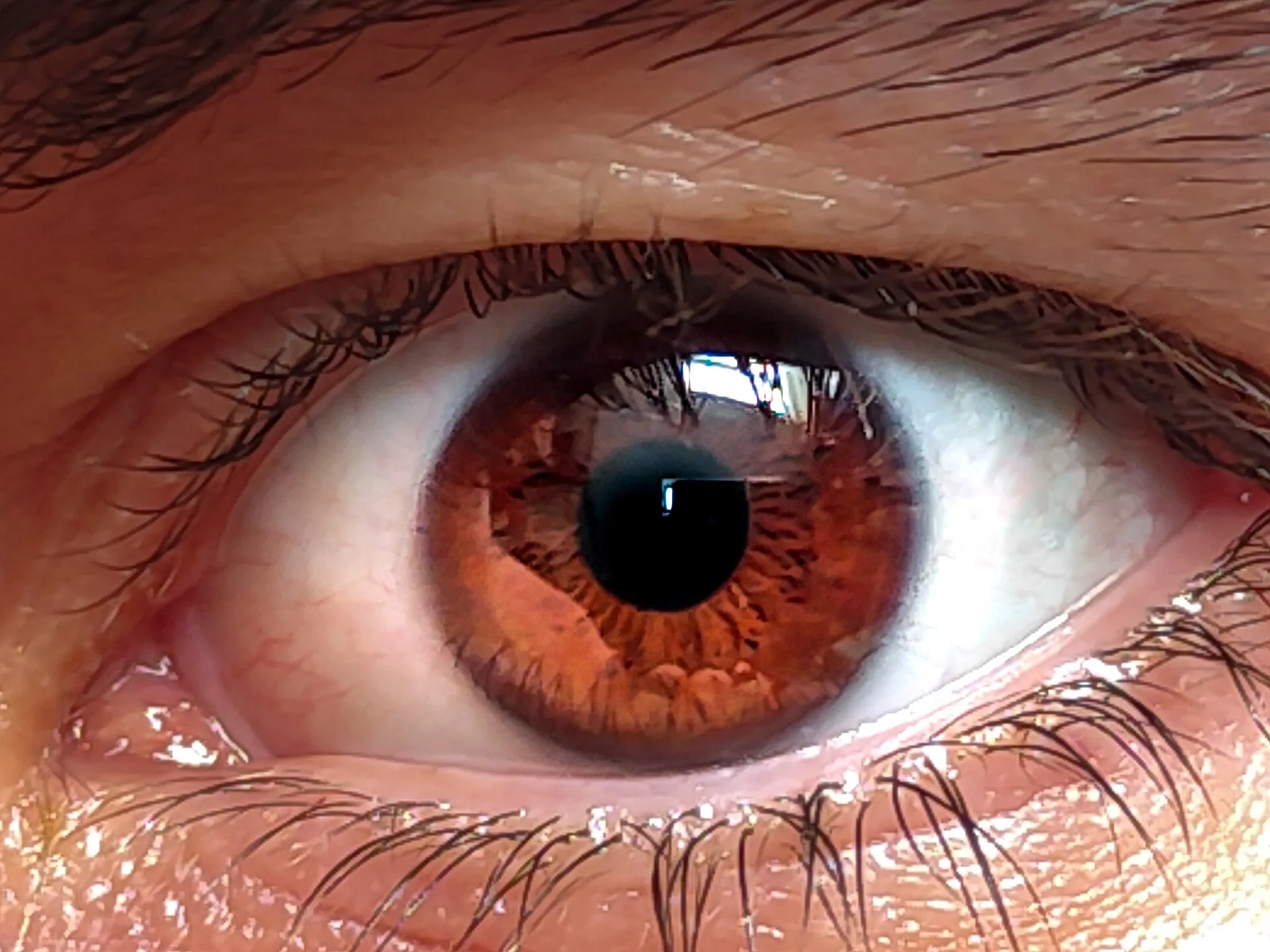A close-up of a human brown eye