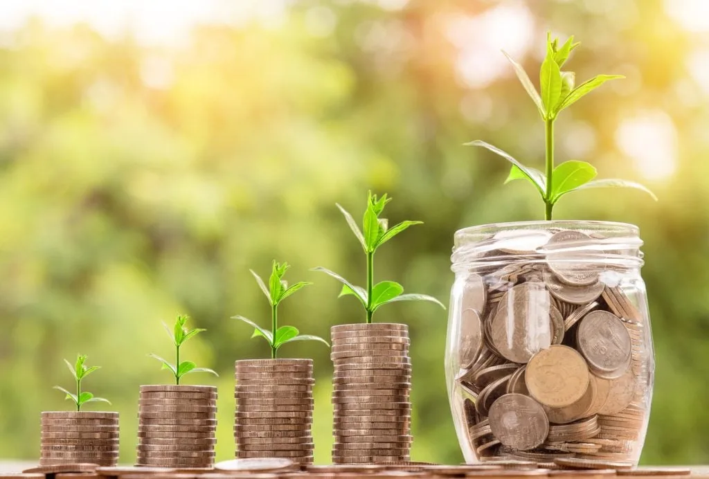 Stacks of coins with small plants growing from them