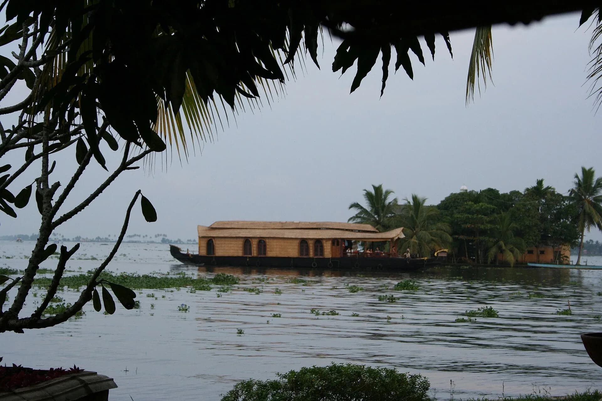A houseboat on the backwaters, framed by palm leaves