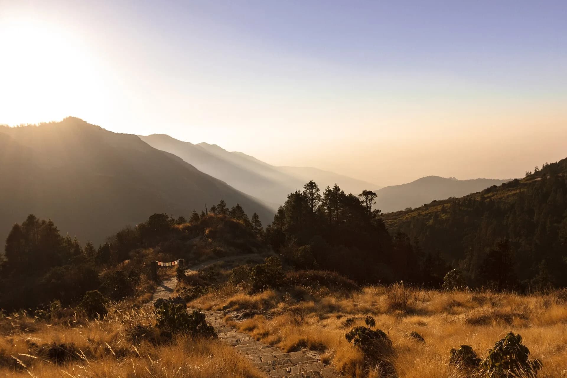 Early morning sunlight over golden hills at Poon Hill in Nepal