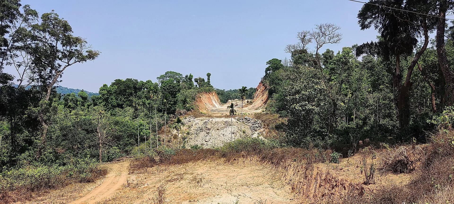 A dirt road being cut through forest
