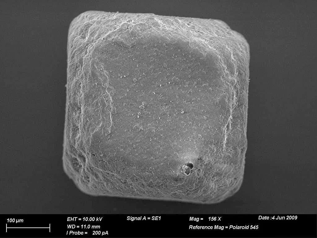 An electron microscope image of a single grain of table salt