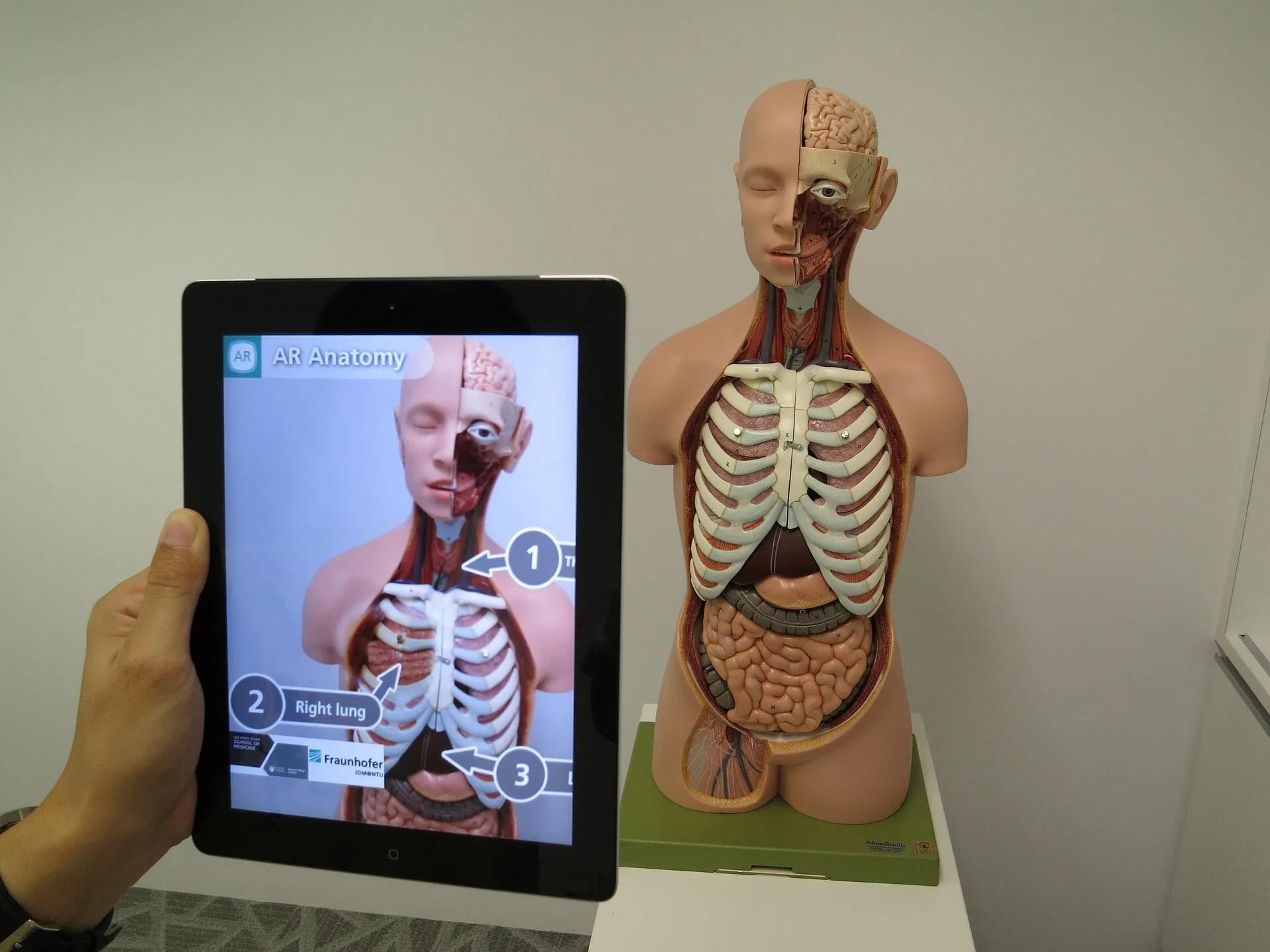 A tablet showing an augmented reality view of human anatomy