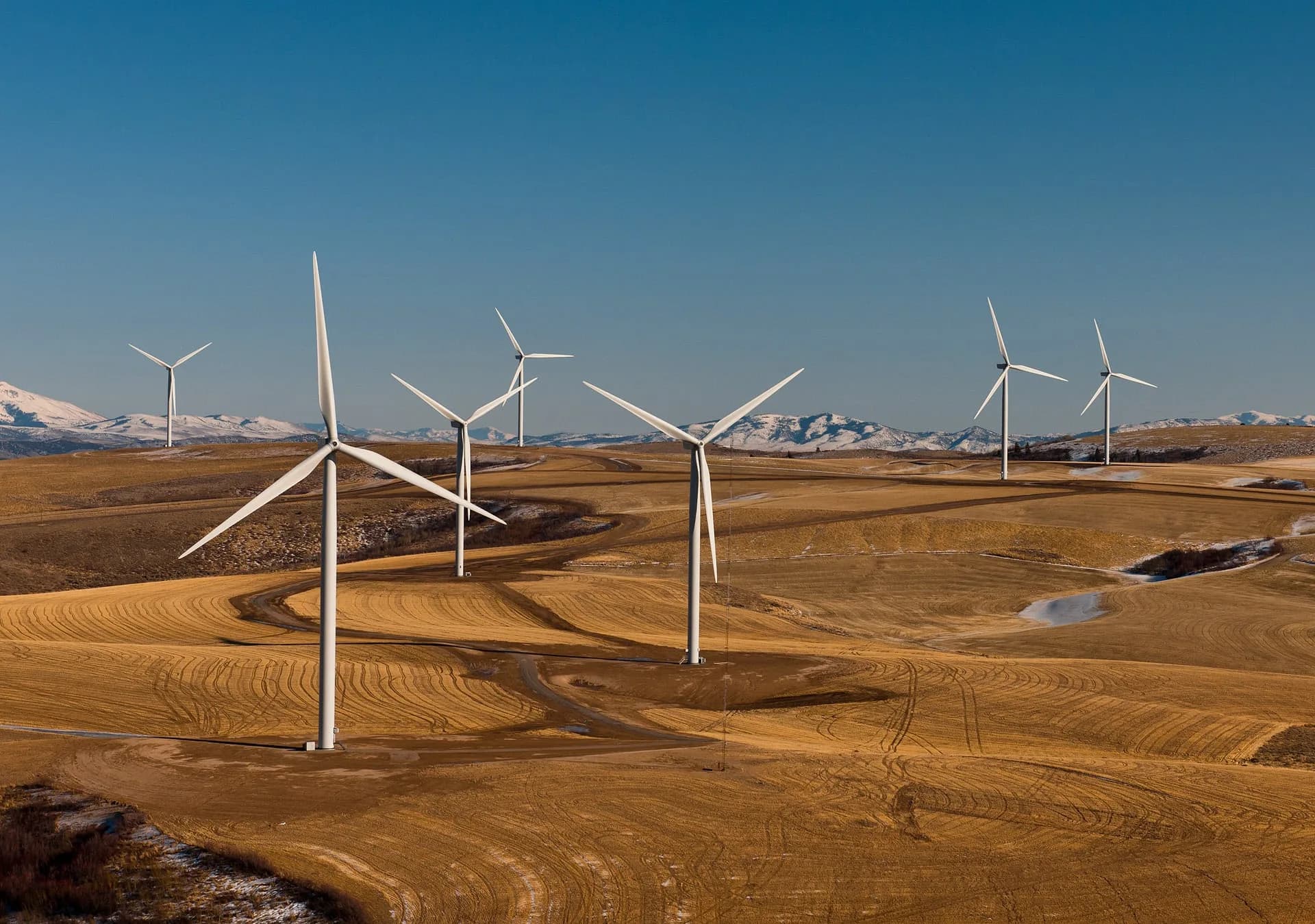A row of wind turbines on open farmland under a blue sky